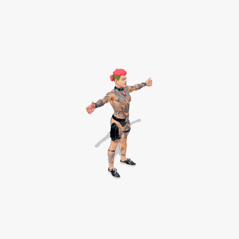 Tattooed Punk Aesthetic model pack